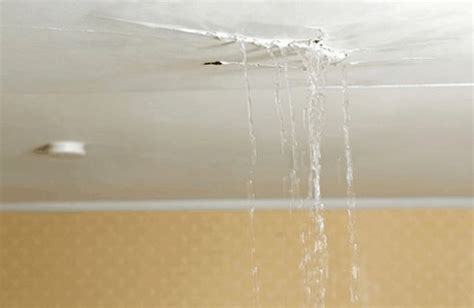 leaking pipes in ceiling|What To Do When Water Is Leaking From Your。